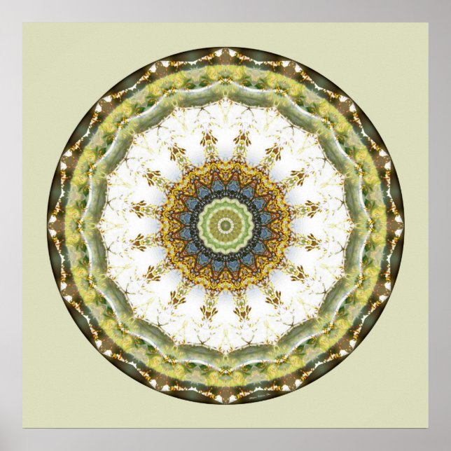 Mandalas from the Heart of Peace, No. 5 Poster (Front)