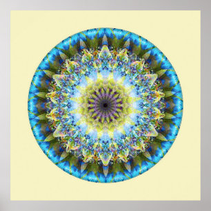Mandalas from the Heart of Transformation, No. 8 Poster