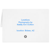 Mandalas in the Window (Back Horizontal)