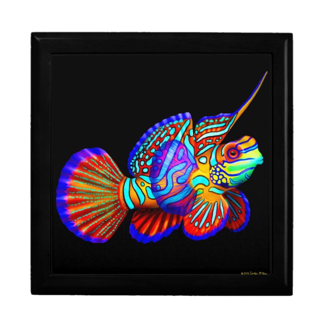 Mandarin Dragonet Goby Fish Gift Box (Front)