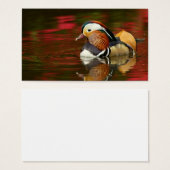 Mandarin Duck (Front & Back)