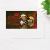 Mandarin Duck (Desk)