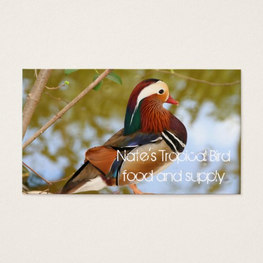 Mandarin Duck (Front)