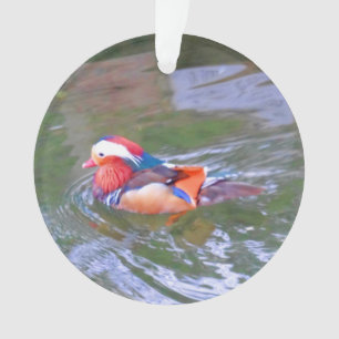 Mandarin Duck #2 Ornament