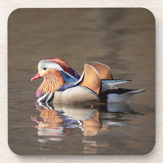 Mandarin Duck Beverage Coaster (Front)