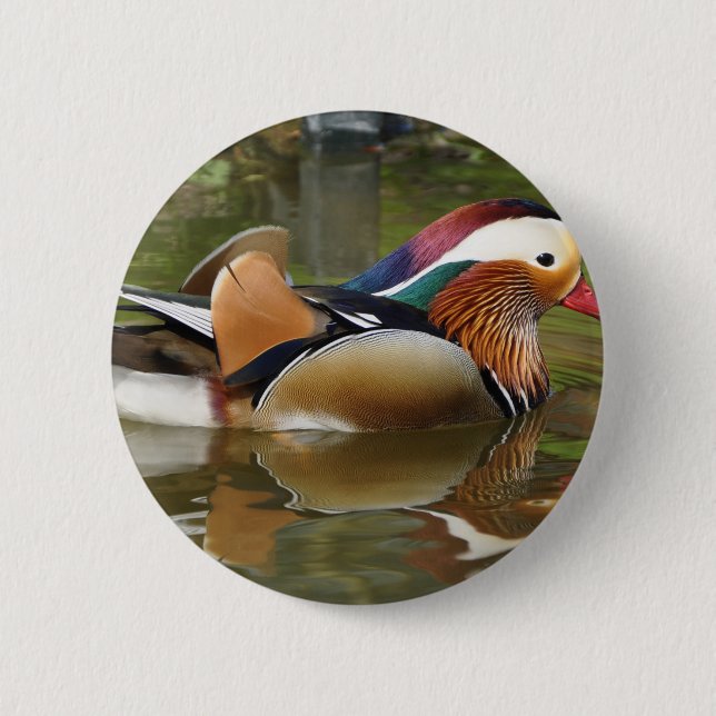 mandarin duck button (Front)