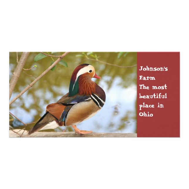 Mandarin Duck Card (Front)