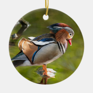 Mandarin Duck Ceramic Ornament