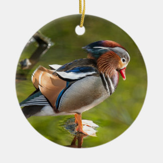 Mandarin Duck Ceramic Ornament