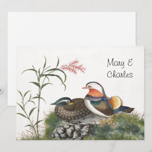 Mandarin Duck Chinese Painting (Front/Back)