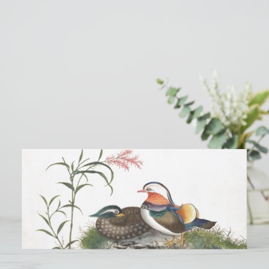 Mandarin Duck Chinese Painting (Standing Front)