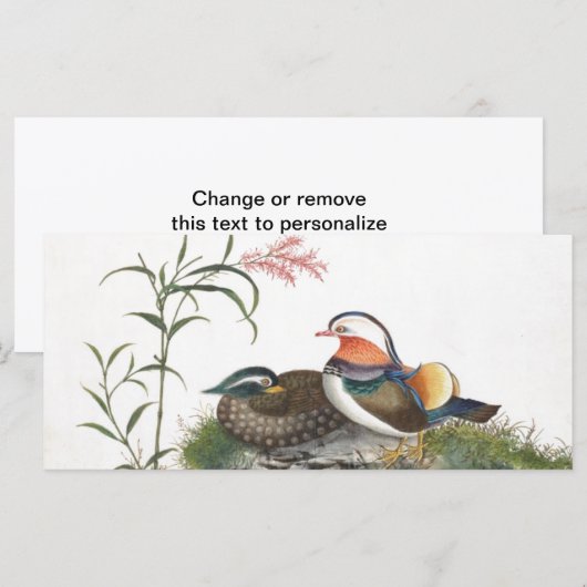 Mandarin Duck Chinese Painting (Front/Back)