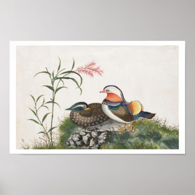 Mandarin Duck Chinese Painting Poster (Front)