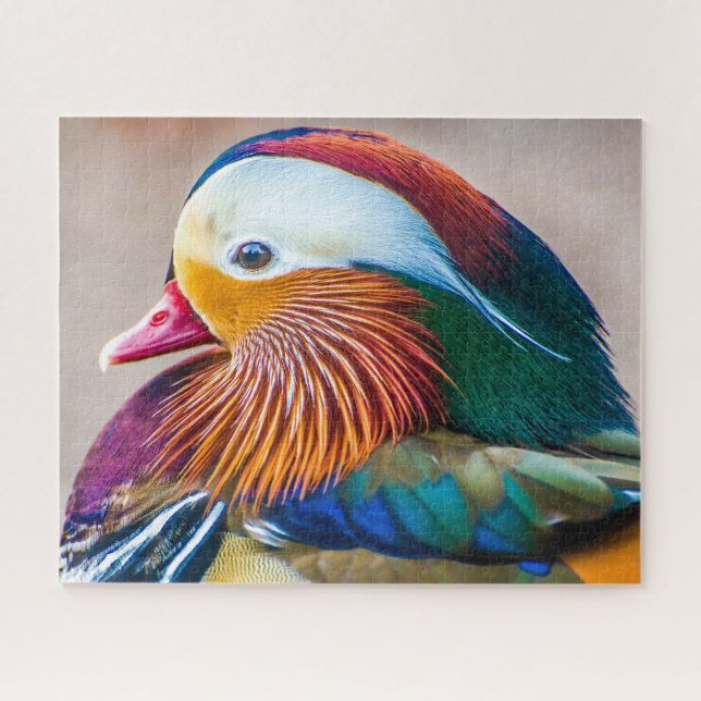 Mandarin Duck Close Up Portrait Jigsaw Puzzle (Horizontal)