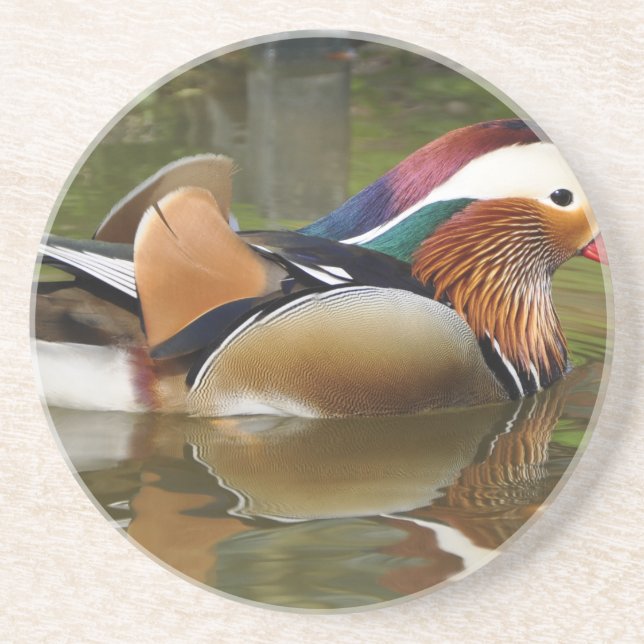 mandarin duck drink coaster (Front)