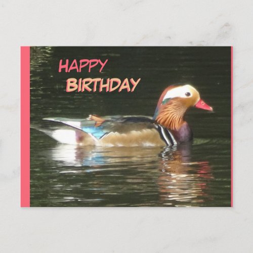 Mandarin Duck Happy Birthday Postcard