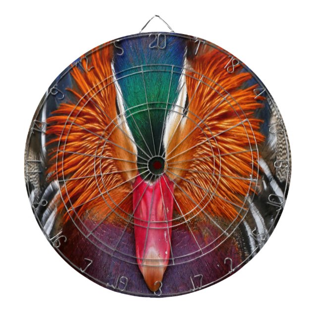 Mandarin duck head dartboard (Front)