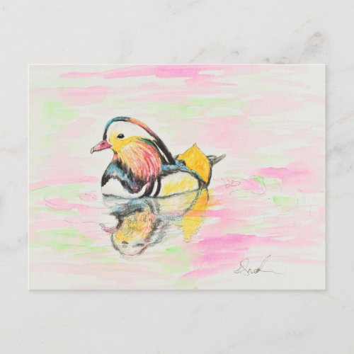 Mandarin Duck Ink and Watercolour Painting Postcard