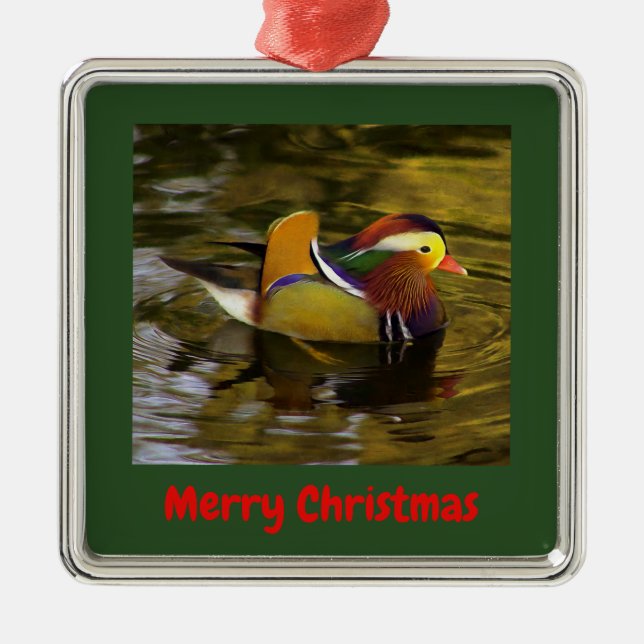 Mandarin Duck Merry Christmas Framed Silver Metal Ornament (Front)