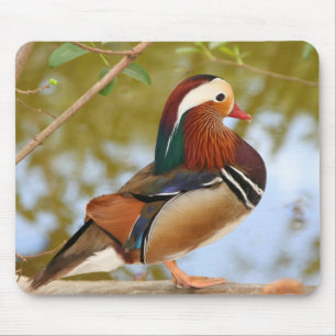 Mandarin Duck Mouse Pad
