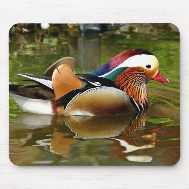 Mandarin Duck Mouse Pad (Front)