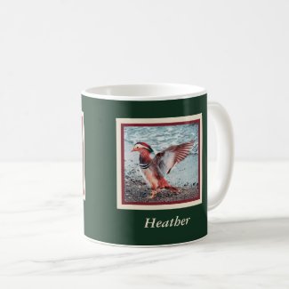 Mandarin Duck on Green and Rust with Name
