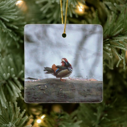 Mandarin Duck Photo Ceramic Ornament