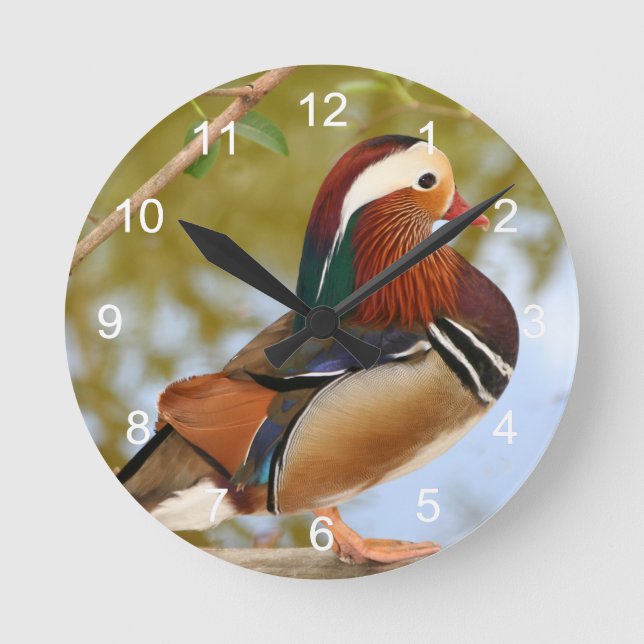 Mandarin Duck Round Clock (Front)