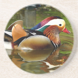 Mandarin Duck Sandstone Coaster