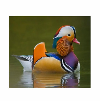 Mandarin Duck Statuette