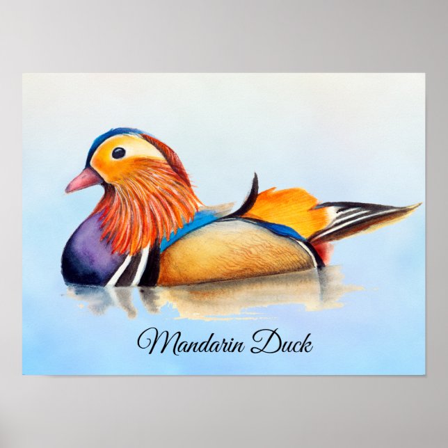 Mandarin Duck Watercolor Painting Poster (Front)