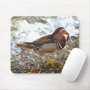 Mandarin Duck with Fish at the Lake Mouse Pad