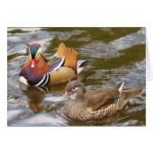 Mandarin Ducks Card (Front Horizontal)