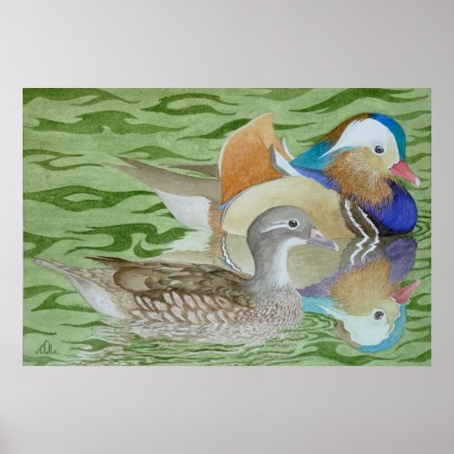 Mandarin Ducks on a lake Poster