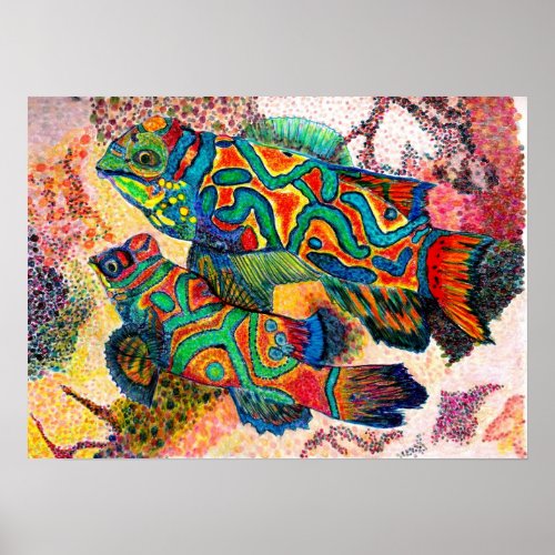 Mandarin Fish Watercolor Poster