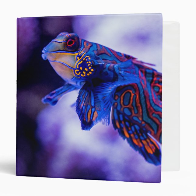 Mandarin Goby Fish 3 Ring Binder (Front/Inside)