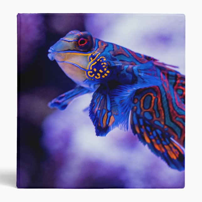 Mandarin Goby Fish 3 Ring Binder (Front)