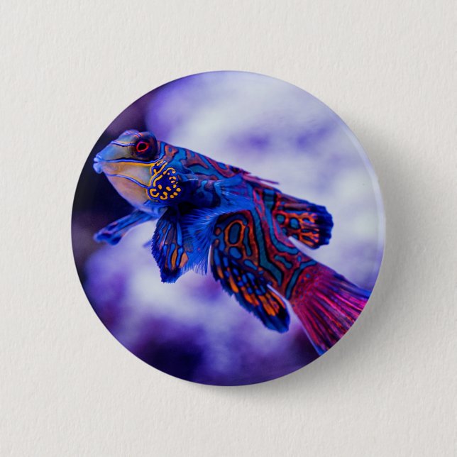 Mandarin Goby Fish Button (Front)