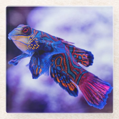 Mandarin Goby Fish Glass Coaster
