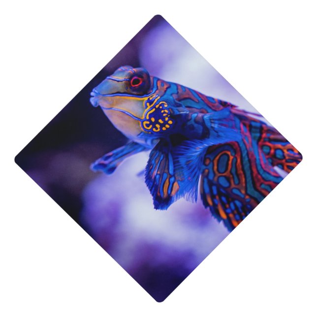 Mandarin Goby Fish Graduation Cap Topper (Front)