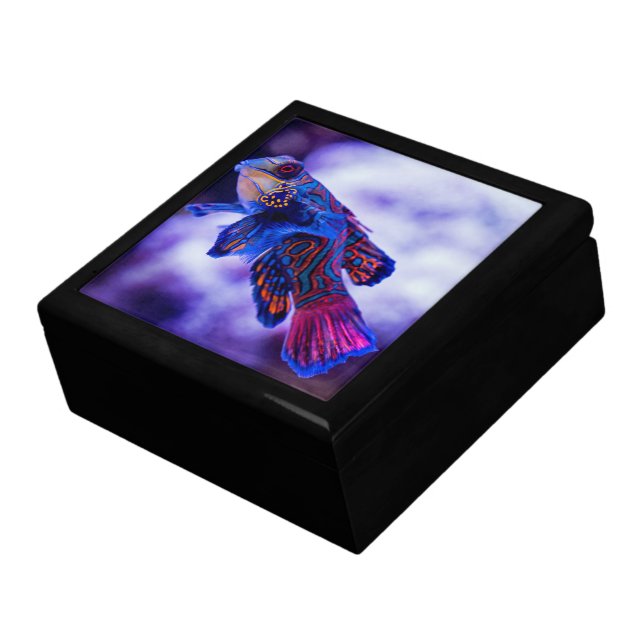 Mandarin Goby Fish Jewelry Box (Side)