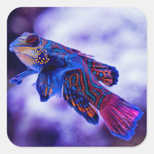 Mandarin Goby Fish Square Sticker