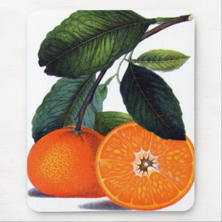 Mandarin Orange Mouse Pad