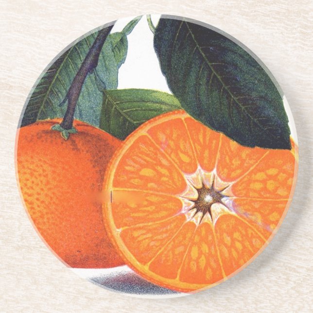 Mandarin Orange Sandstone Coaster (Front)