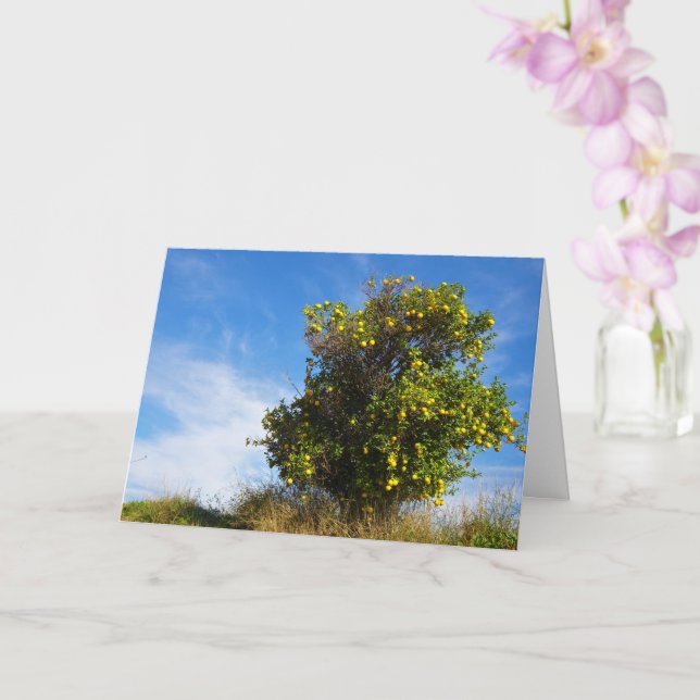 Mandarin Orange Tree Portrait Card (Orchid)