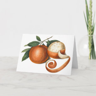 Mandarin Oranges: Antique Painting from China Holiday Card