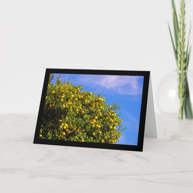 Mandarin Tree under Blue Sky Card (Front)