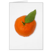 Mandarin with green leaf (Front)