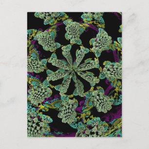 Mandelbulb Fractel 2 Postcard