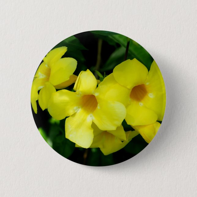 Mandevilla.JPG Pinback Button (Front)